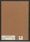 Licmophora grandis var. divisa (Kuetz.) Grun. (de-Toni-Nr.: Genus 86, Species 2966) Zeichnungen Sammlung Grunow Mappe 03151 (Herbarium_W_Grunow_drawings_Folder_03151)